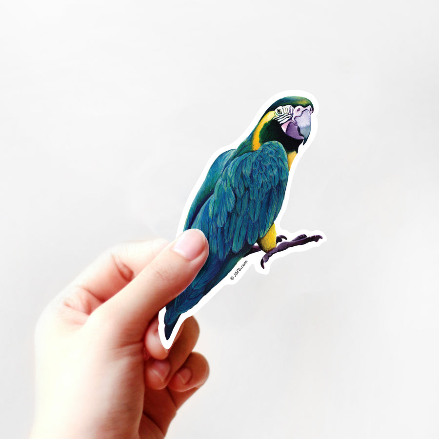 Macaw Sticker By J6R6
