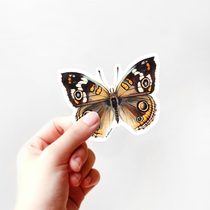 Buckeye Butterfly Sticker By J6R6