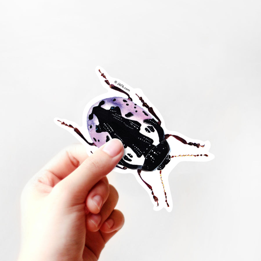 Calligrapha Beetle Sticker By J6R6