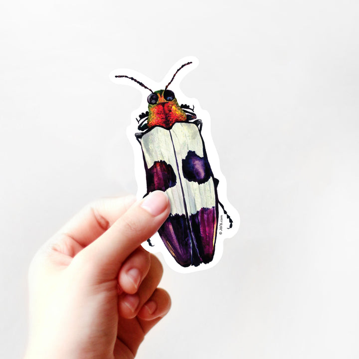 Pink and Purple Jewel Beetle Sticker By J6R6