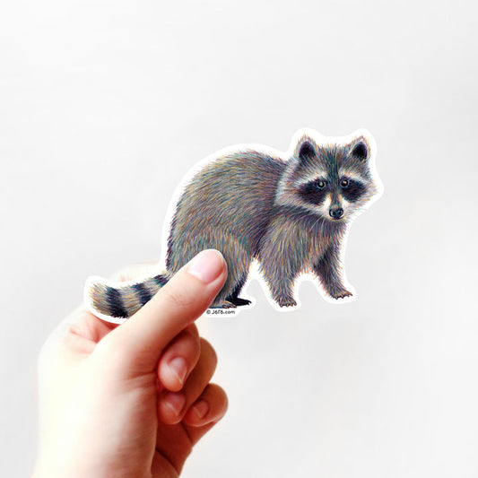 Raccoon Vinyl Sticker
