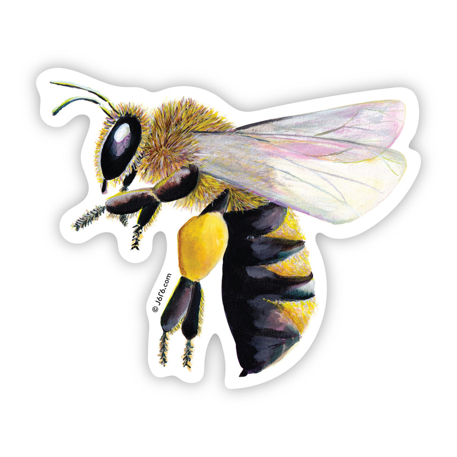 Bee Sticker By J6R6