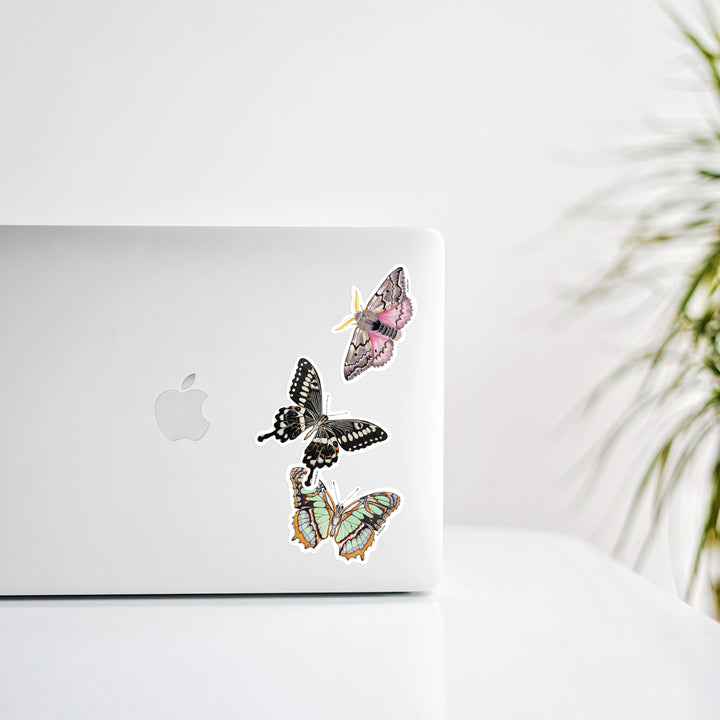 Malachite Butterfly Sticker By J6R6