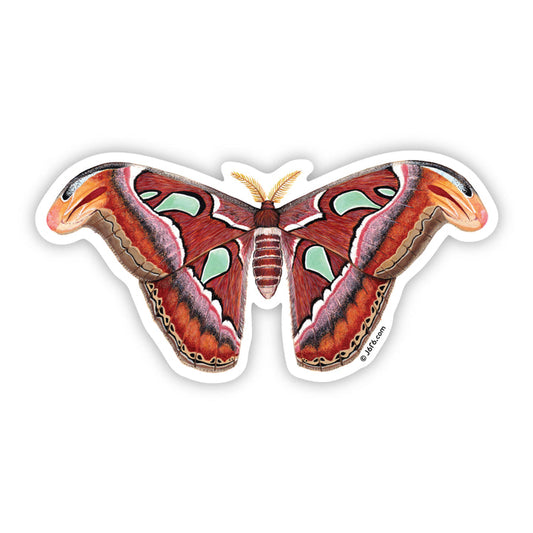 Atlas Moth Sticker By J6R6