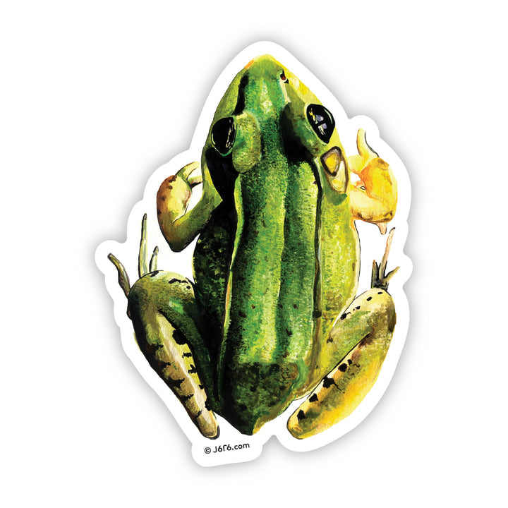 Frog Sticker By J6R6