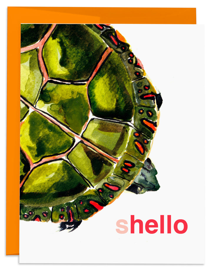Turtle Shell Card Back Turtle Shello Card – Swoon Gift Shop Milwaukee