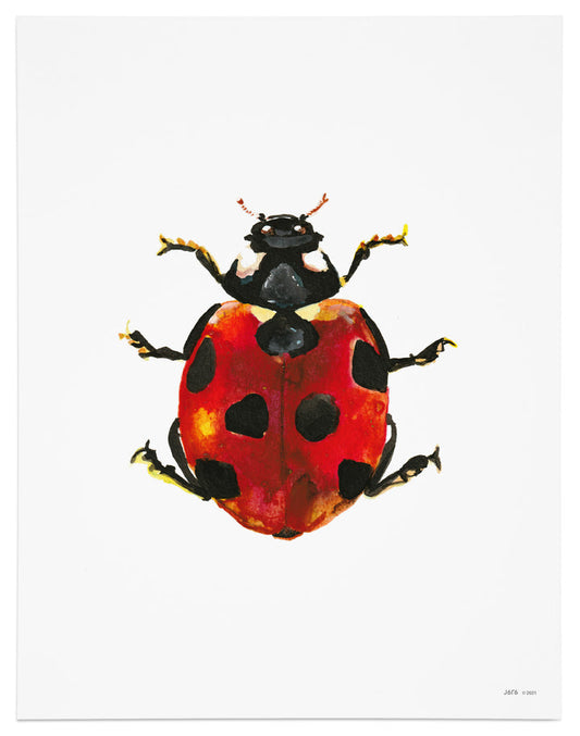 Ladybug Art Print