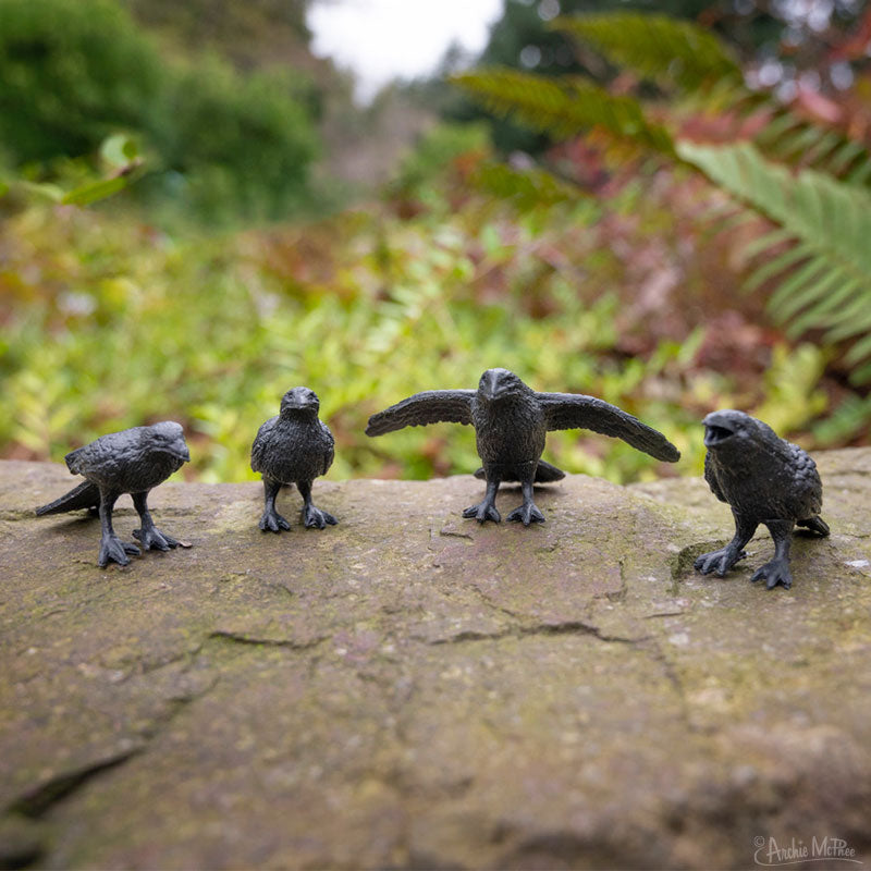 Murder of Tiny Crows