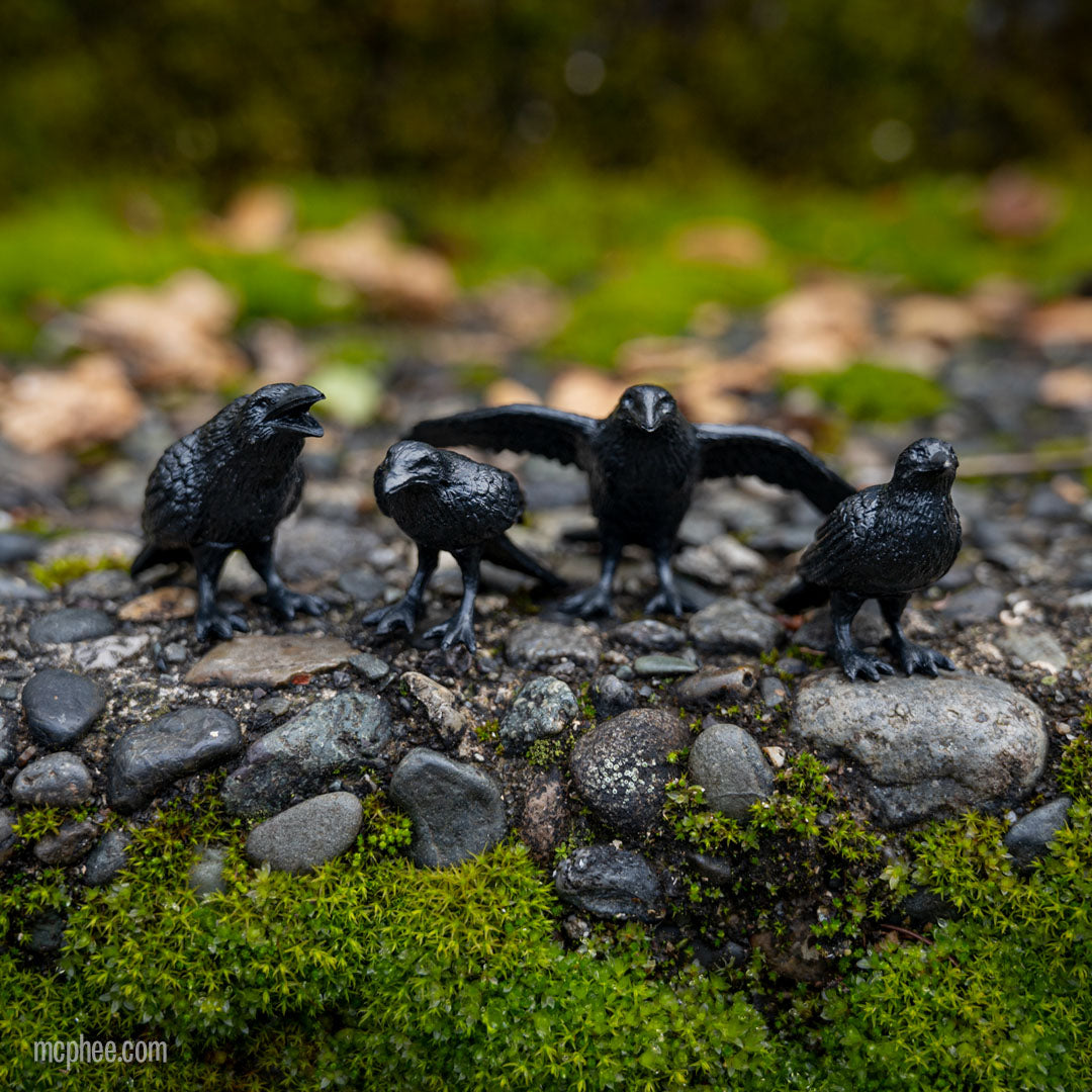 Murder of Tiny Crows