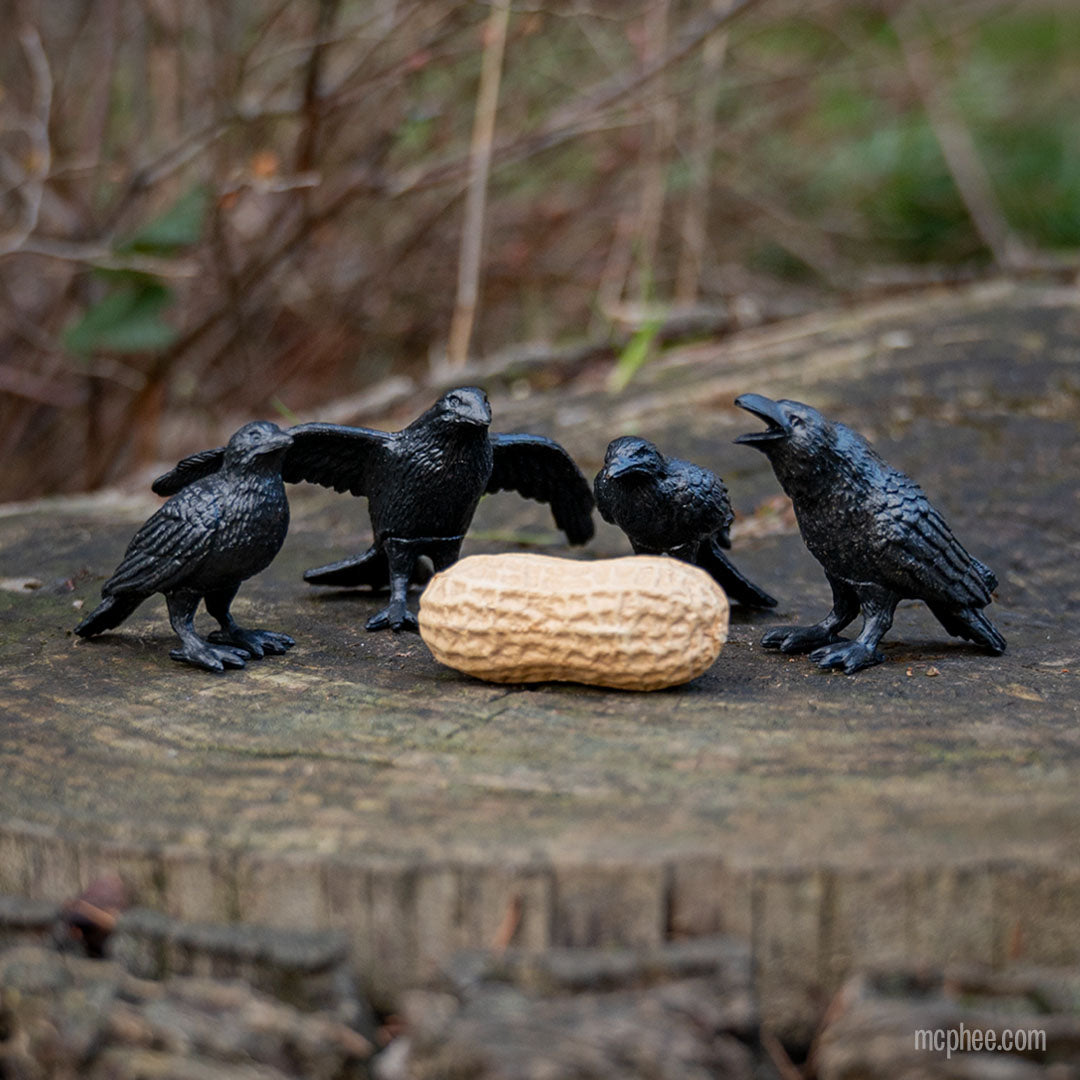 Murder of Tiny Crows
