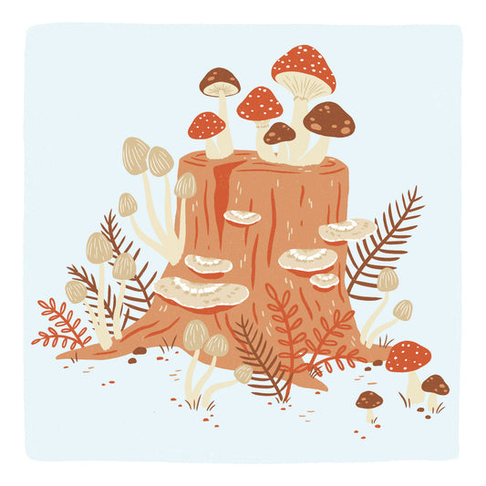 Mushrooms 6x6 Print