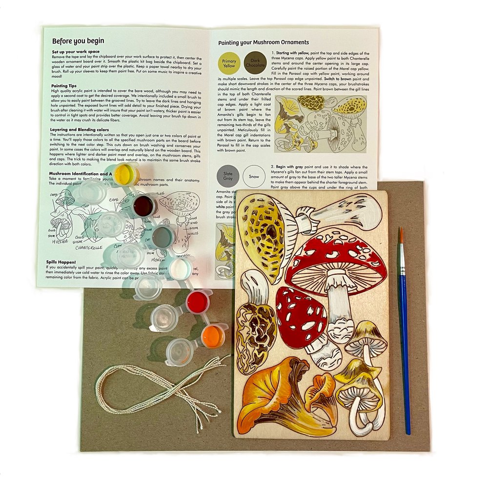 Natural Wonders Paint Kit - Mushroom Ornaments