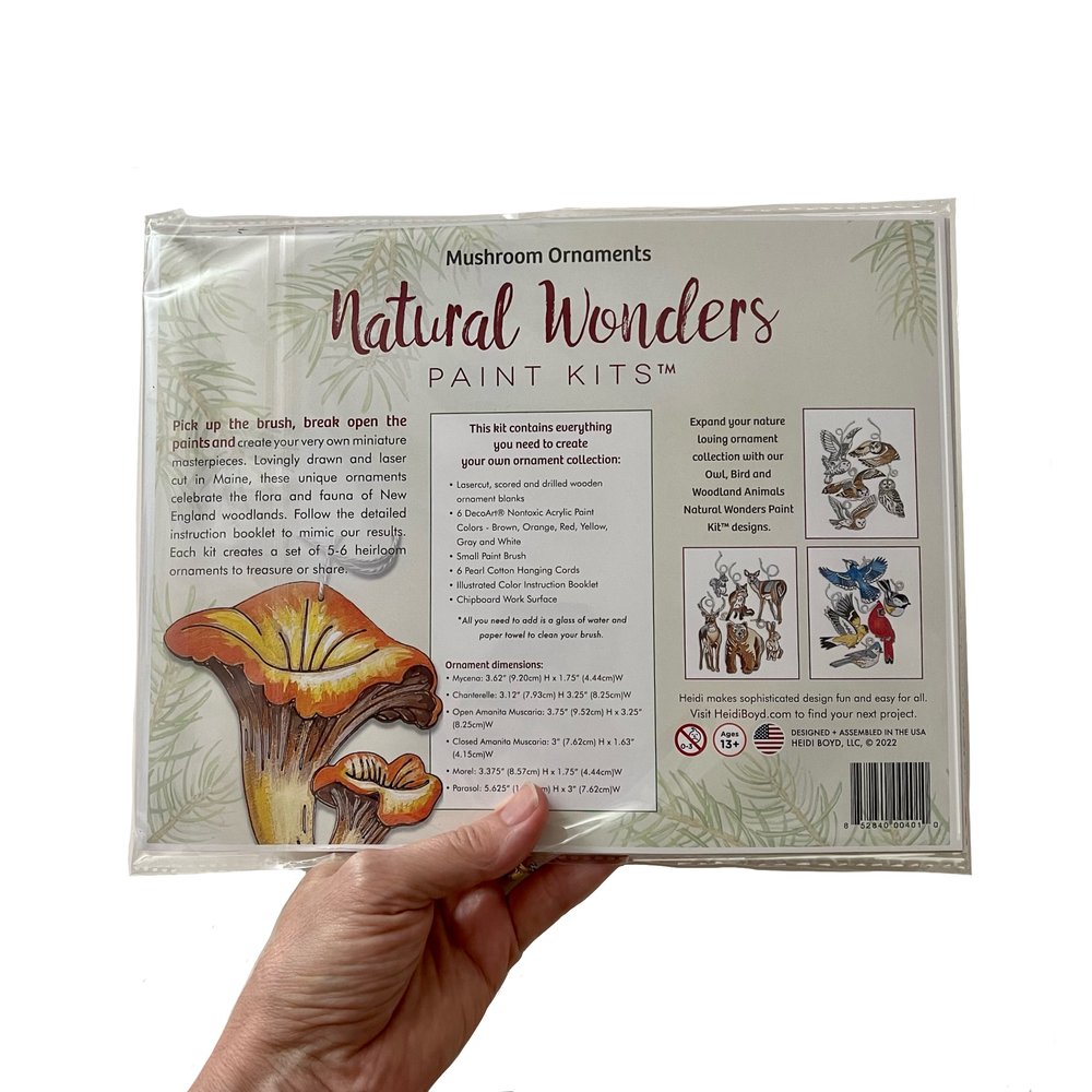 Natural Wonders Paint Kit - Mushroom Ornaments