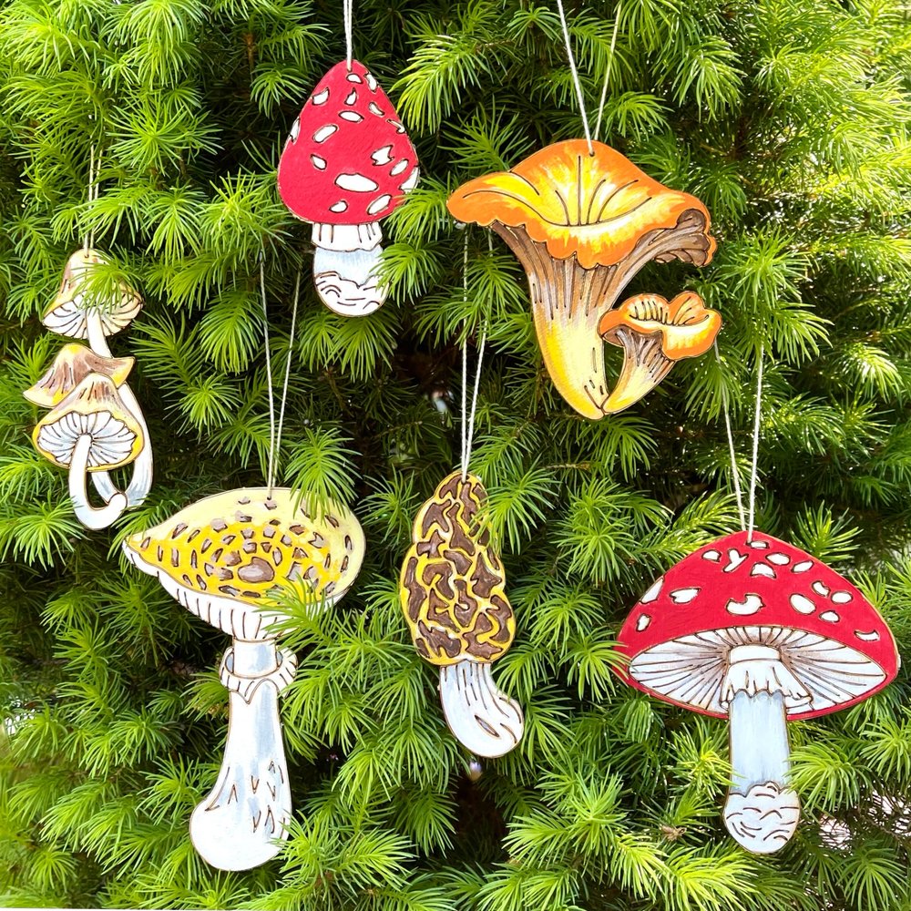 Natural Wonders Paint Kit - Mushroom Ornaments