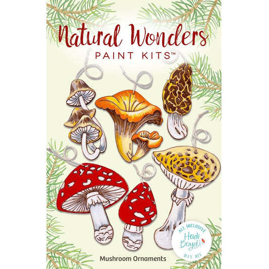 Natural Wonders Paint Kit - Mushroom Ornaments