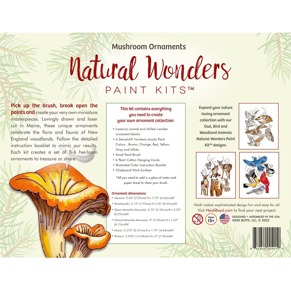 Natural Wonders Paint Kit - Mushroom Ornaments