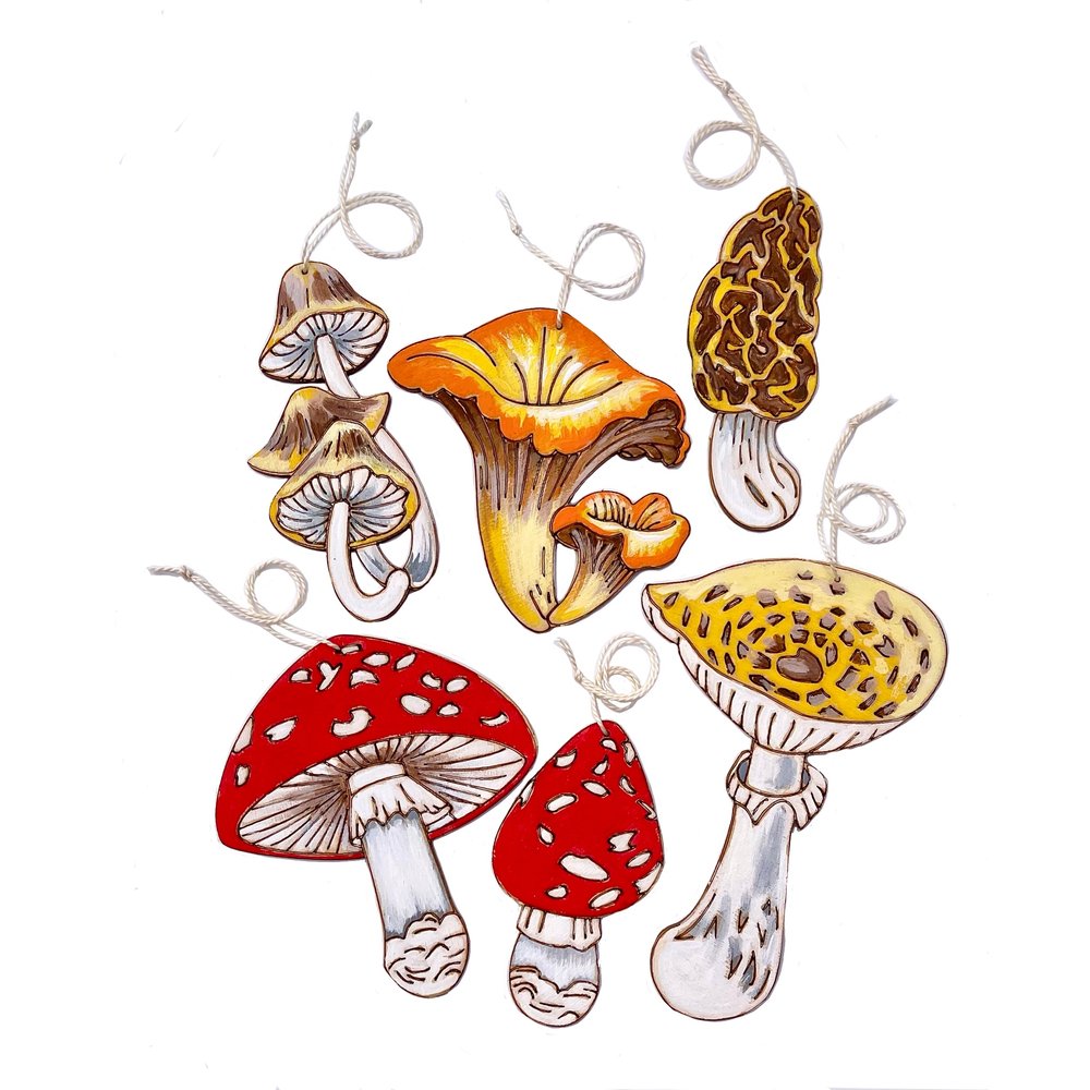 Natural Wonders Paint Kit - Mushroom Ornaments