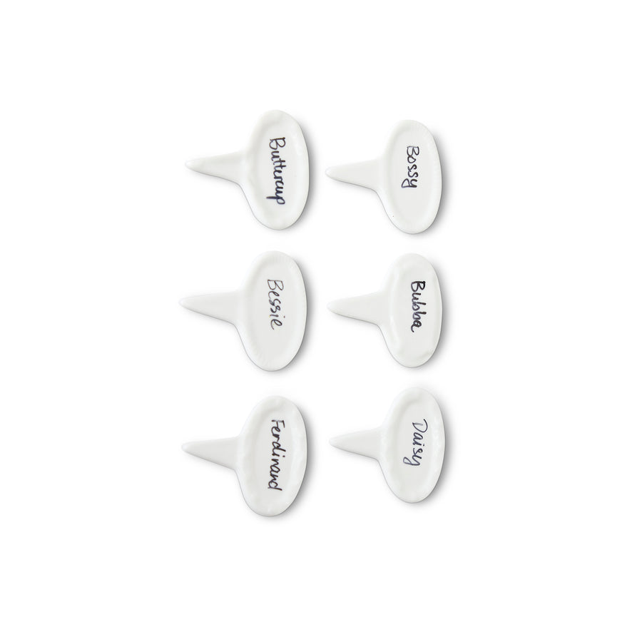 Set of 6 Oval Cheese Markers