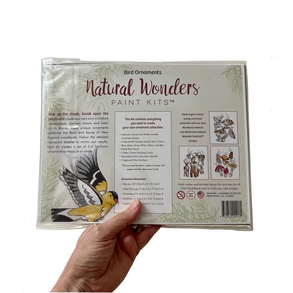 Natural Wonders Paint Kit - Bird Ornaments