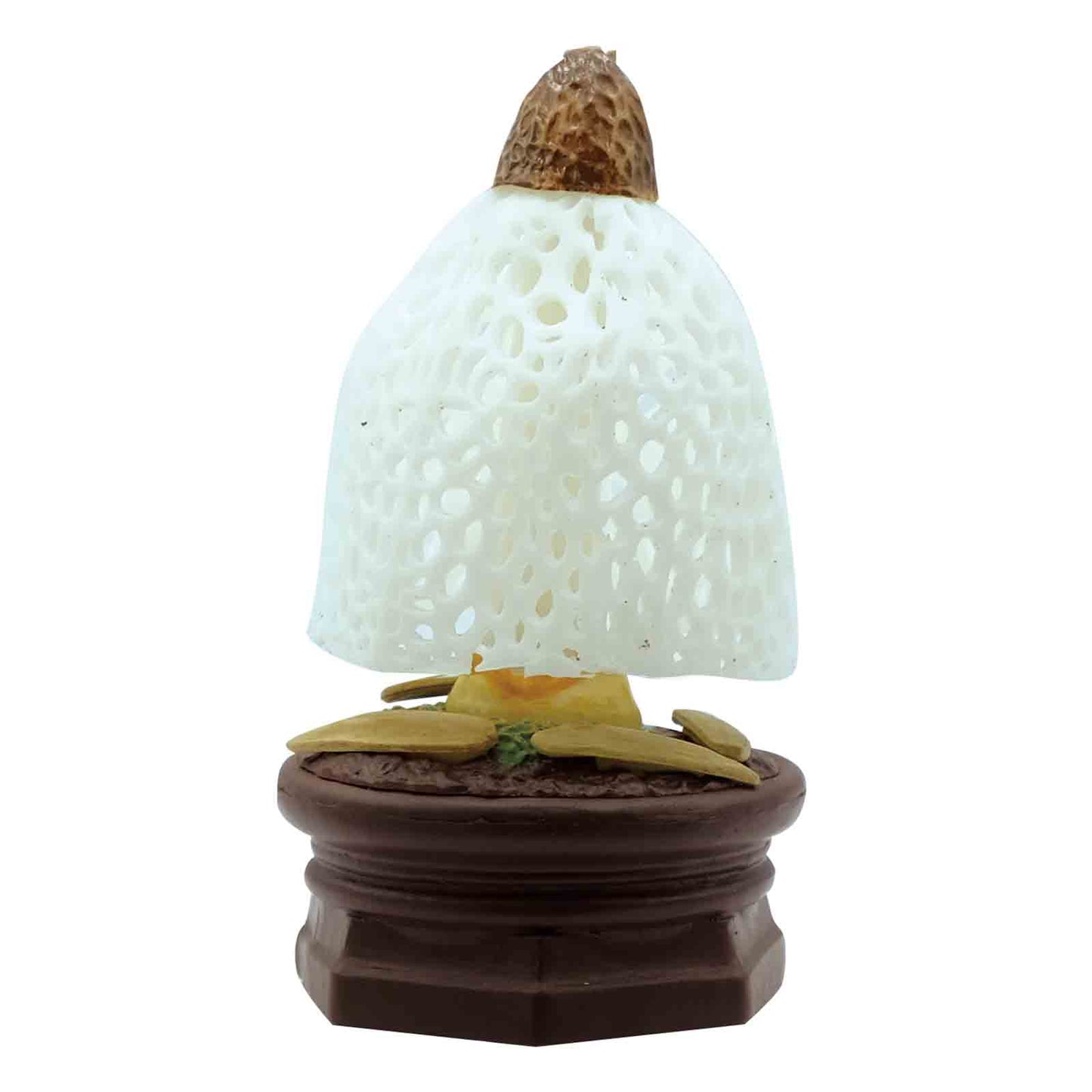 Mushroom Garden Blind Box Version 1