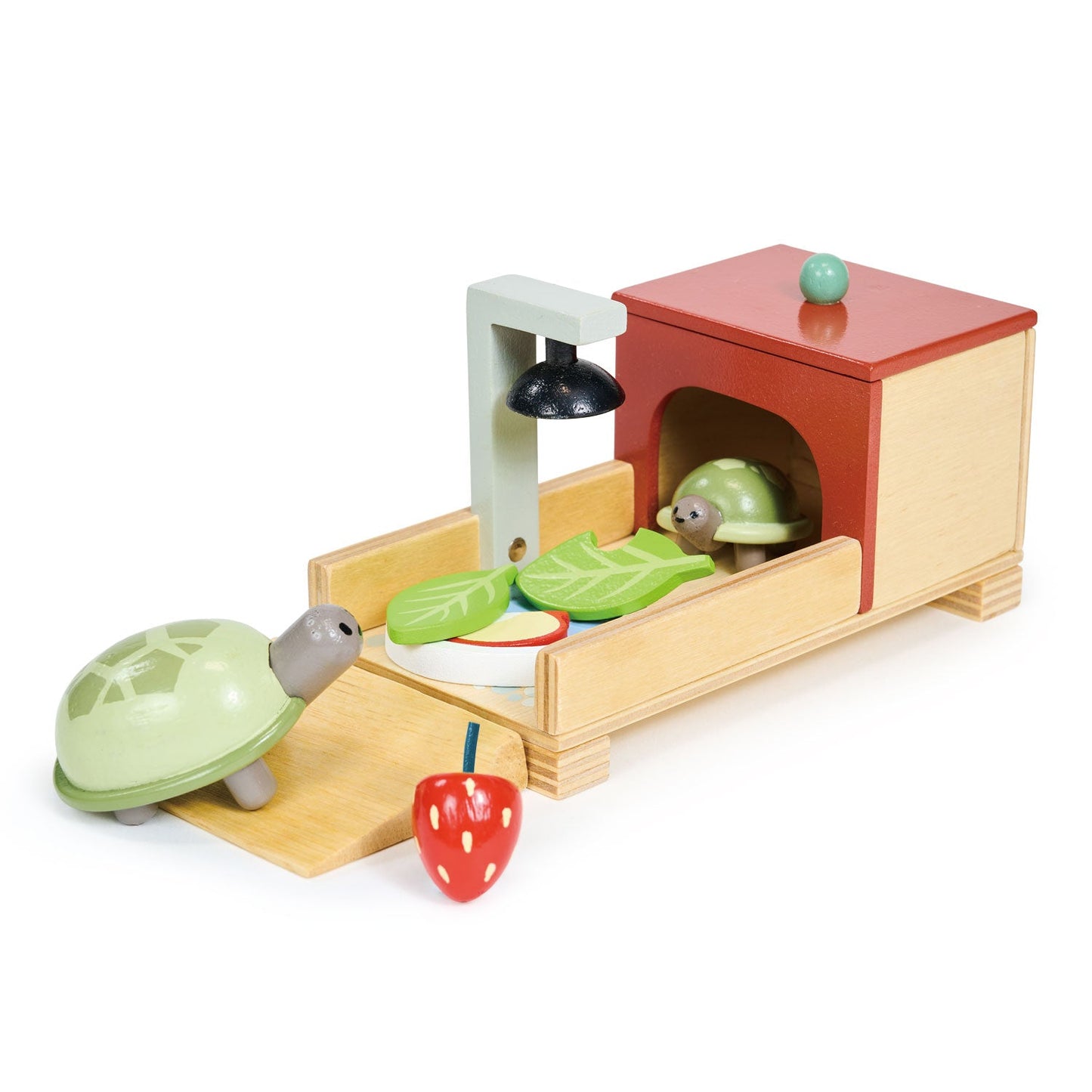 Wooden Tortoise Pet Set