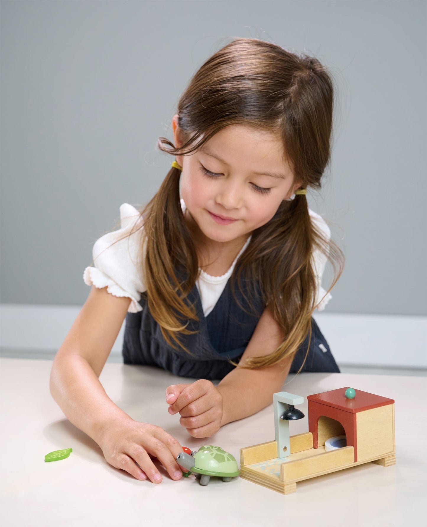 Wooden Tortoise Pet Set