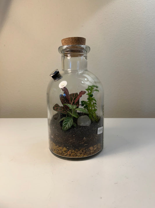 Terrarium #73