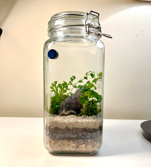 Terrarium #76