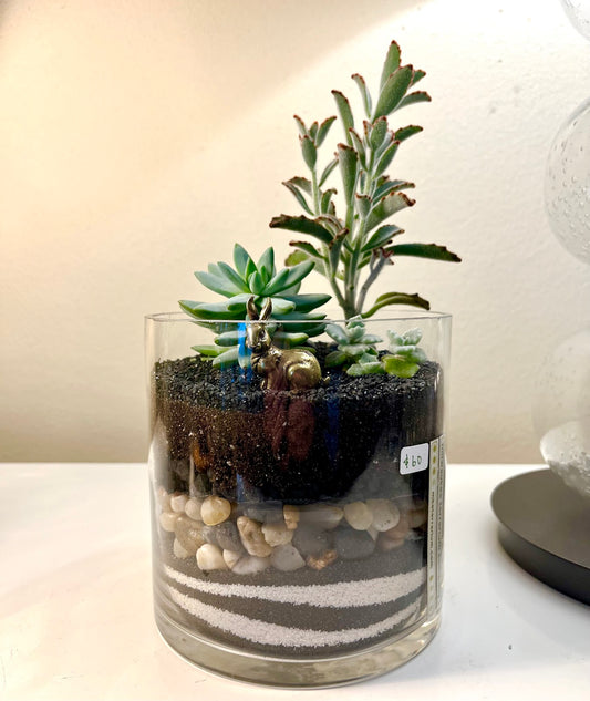 Terrarium #79