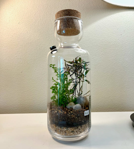 MKE Terrarium #92