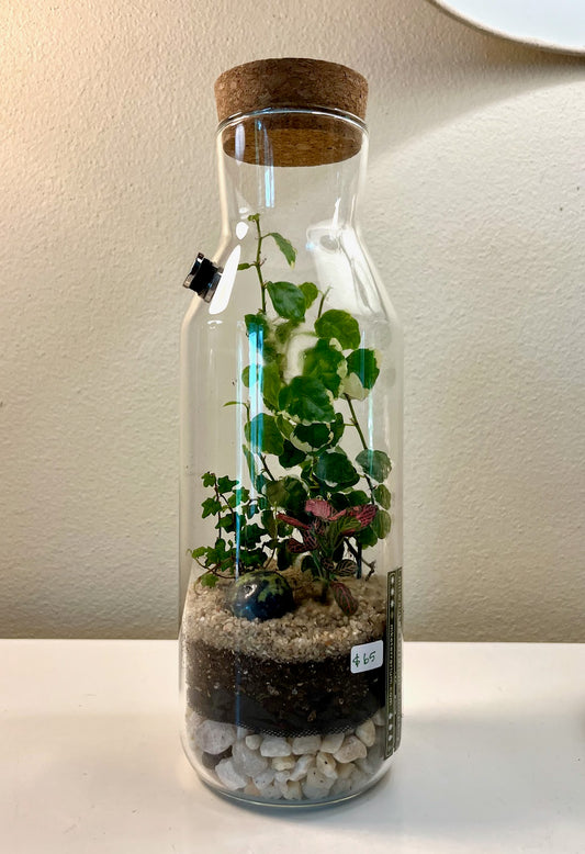 MKE Terrarium #93