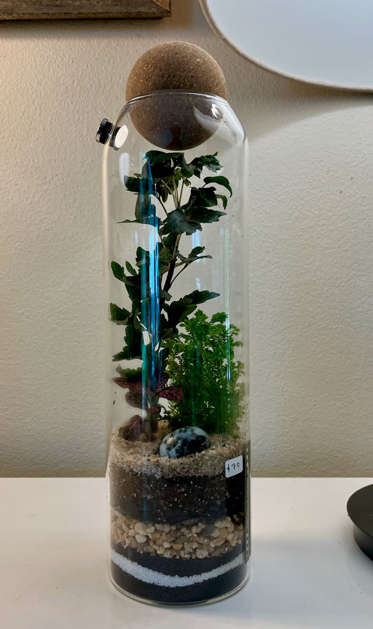 MKE Terrarium #94