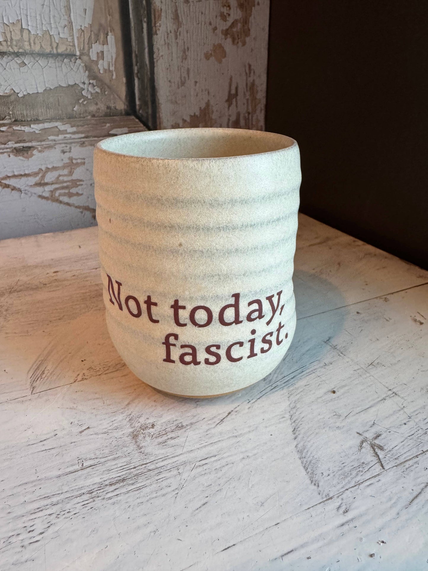 Not Today, Fascist - Limited Edition Everyday Tumbler