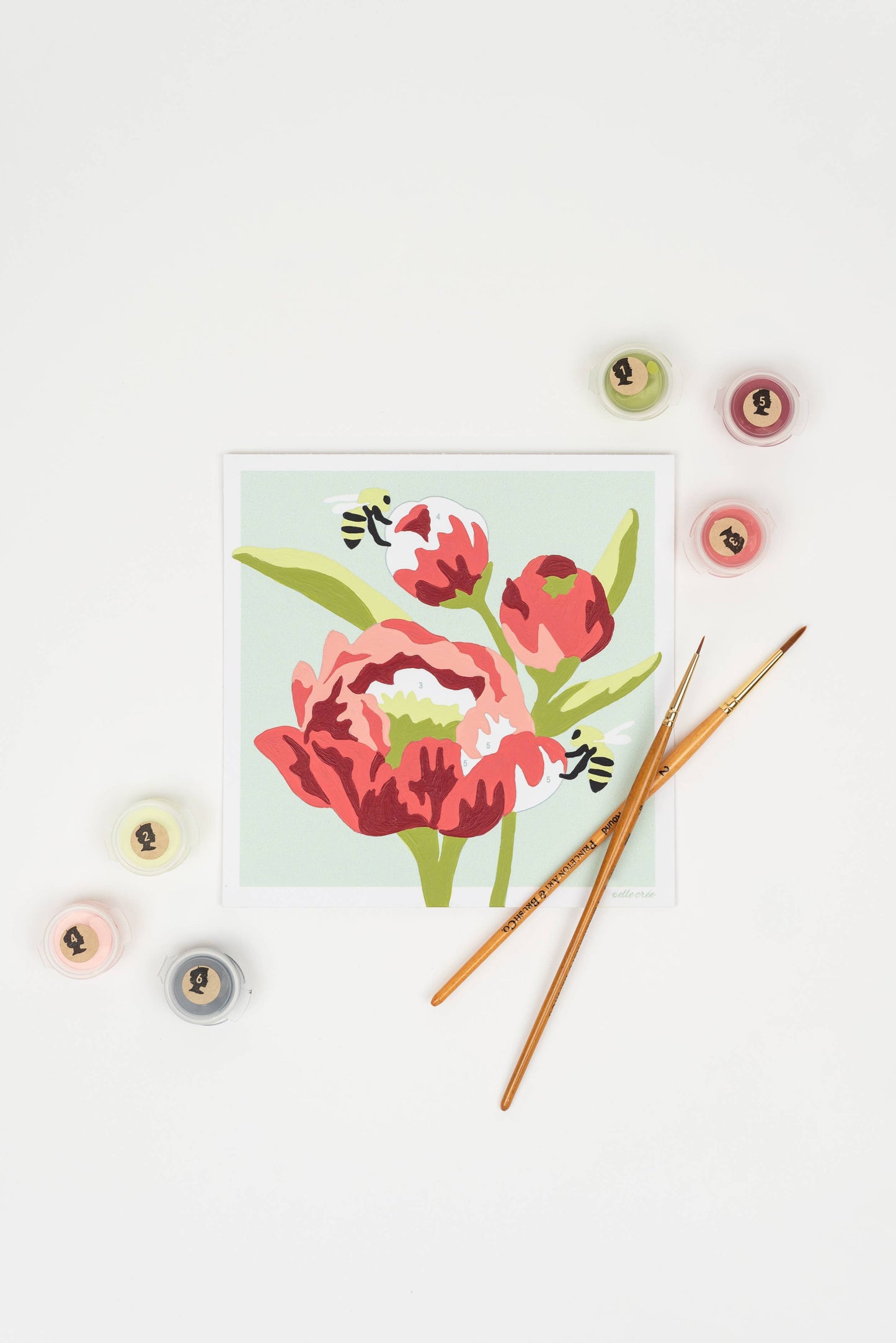 Peonies MINI Paint-by-Number Kit