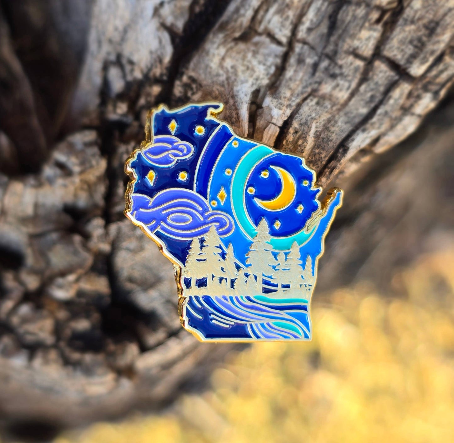 Wisconsin state pin