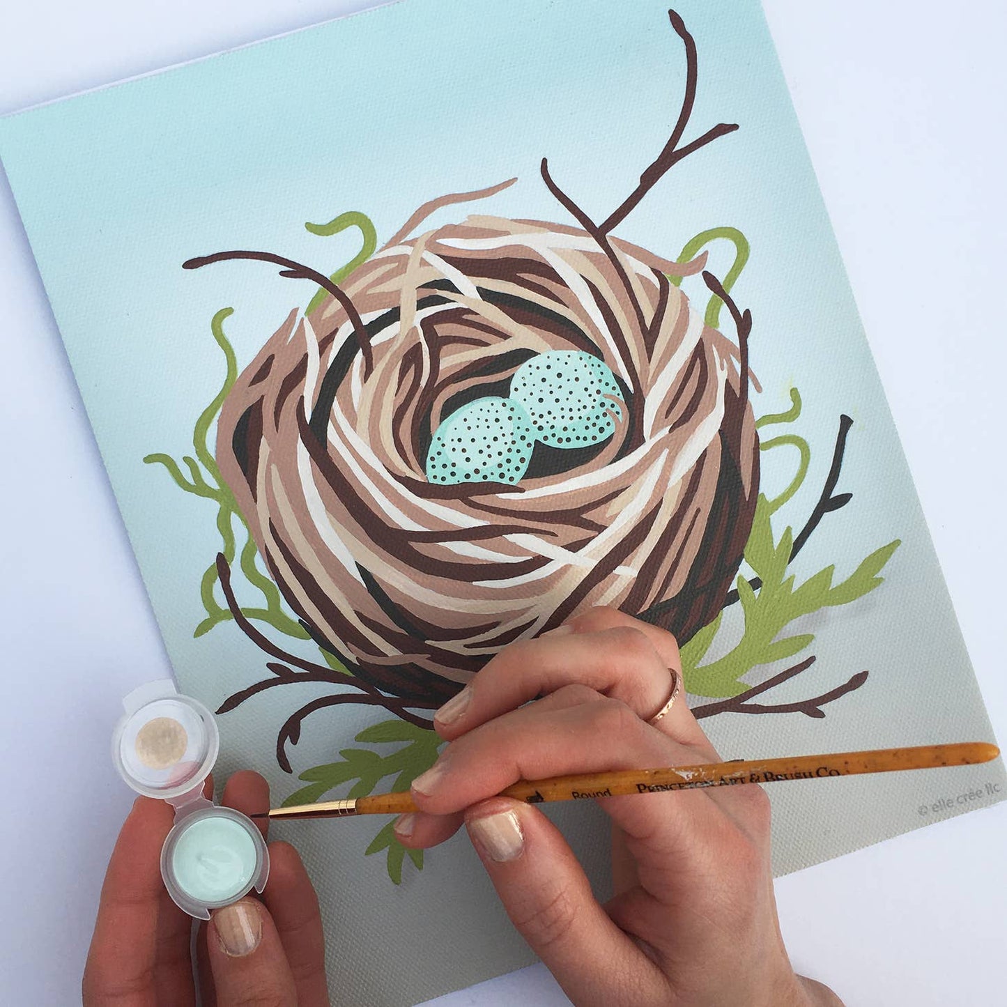 Bird's Nest Paint-by-Number Kit