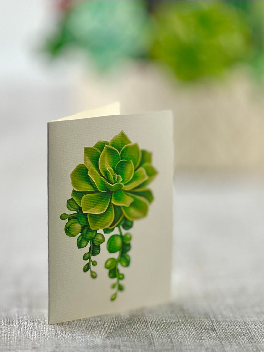 Cactus Garden Pop-Up Greeting Card