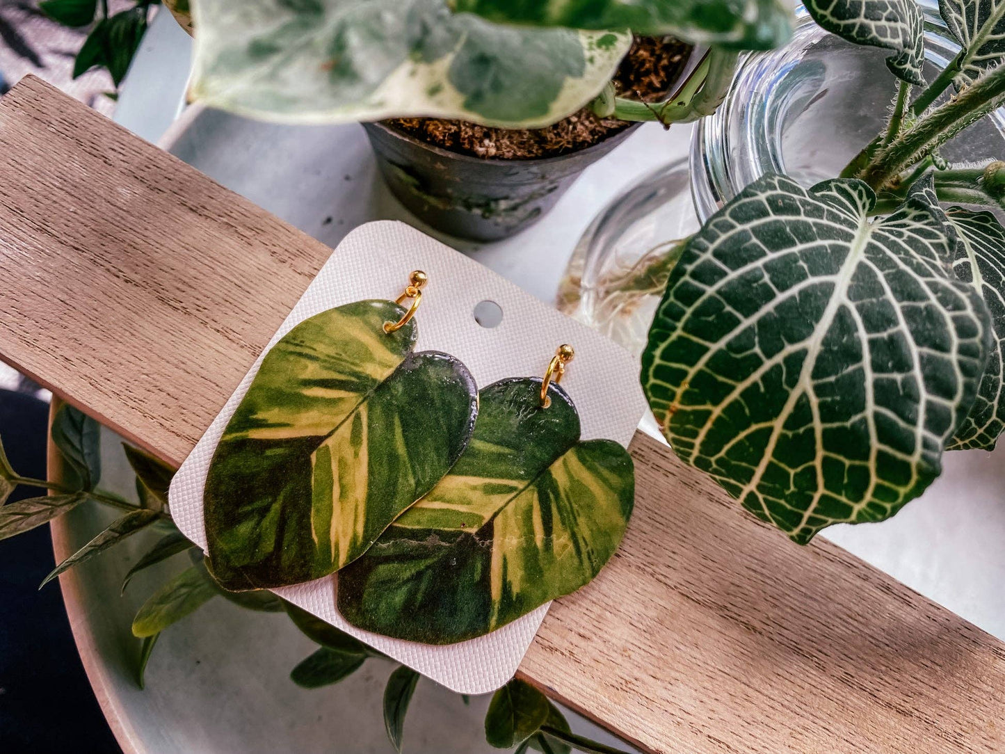 Golden Pothos Plant Leaf Earrings