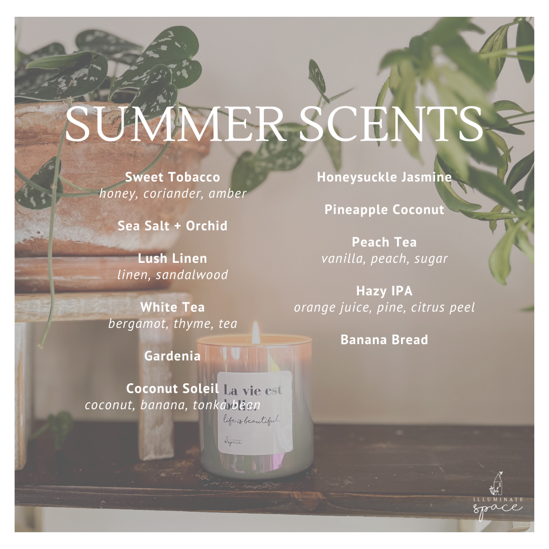 All-Purpose Cleaner Concentrate