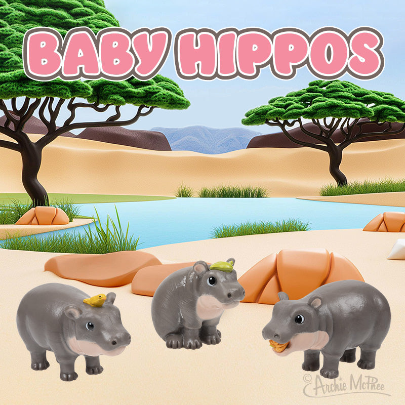 Baby Hippos