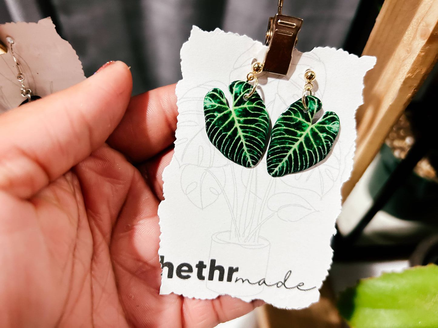 Anthurium Regale Plant Leaf Studs