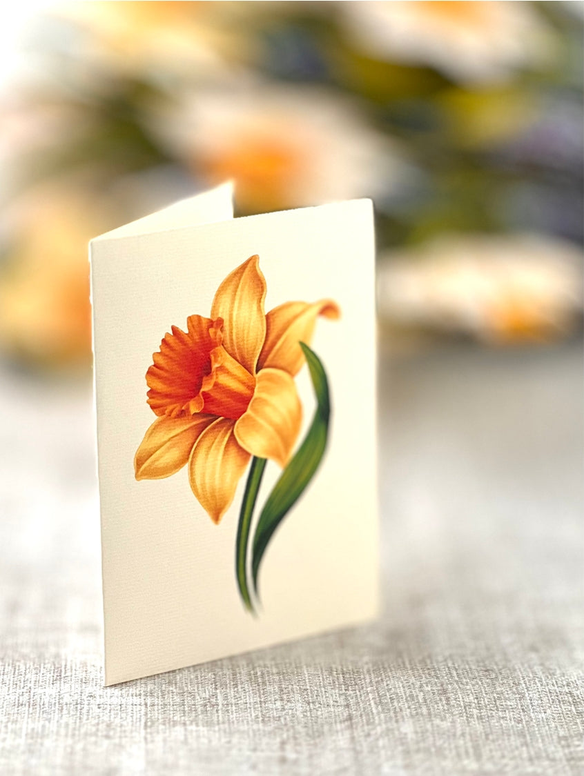 English Daffodils Pop-Up Greeting Card