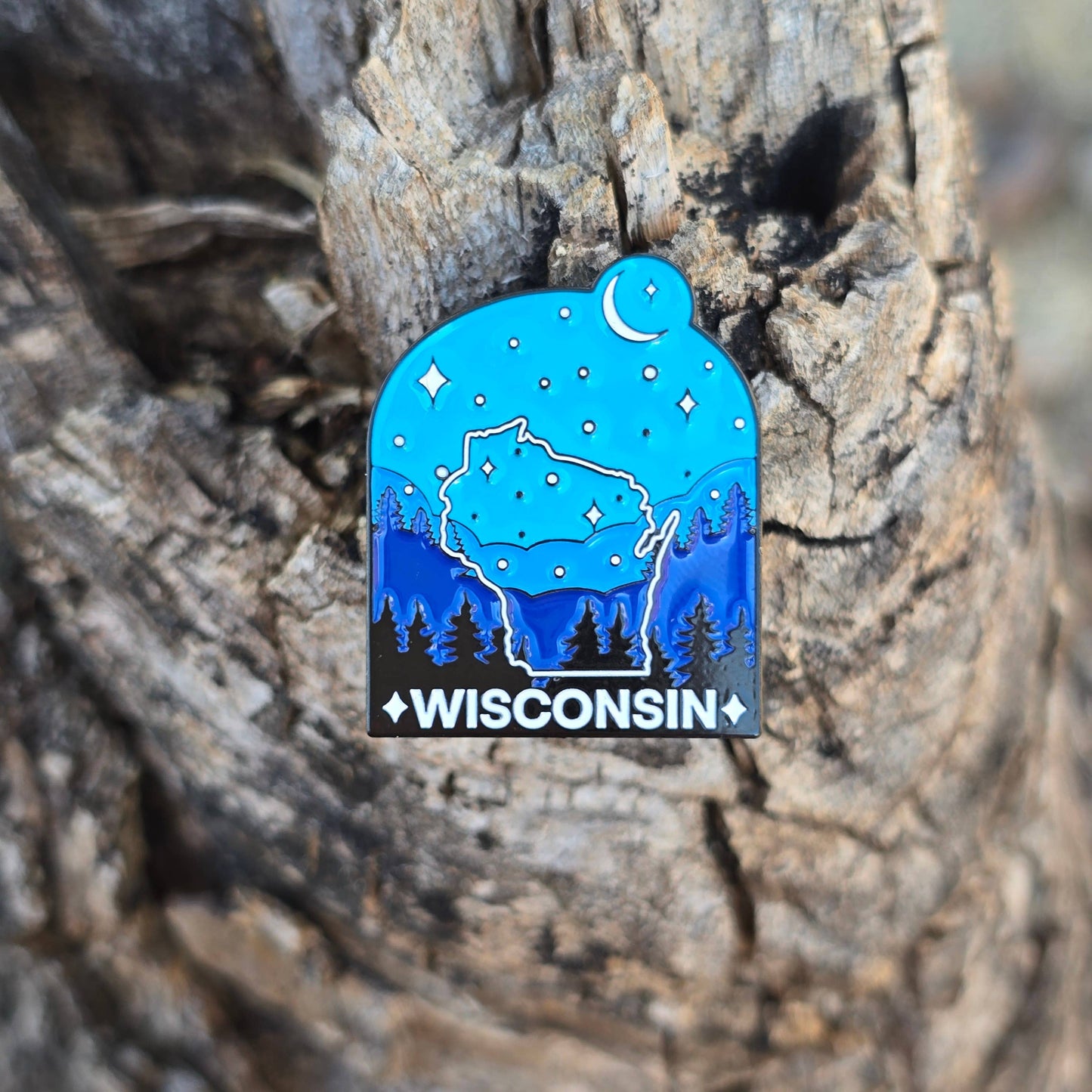 Wisconsin enamel pin