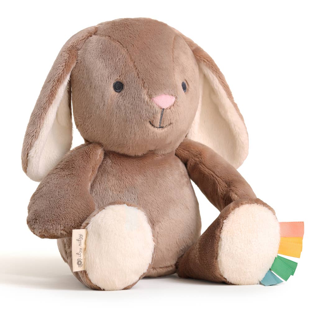 Sweetie Snuggles™ Plush Strawberry