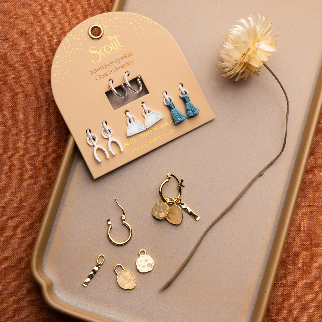 Interchangeable Charm Earring