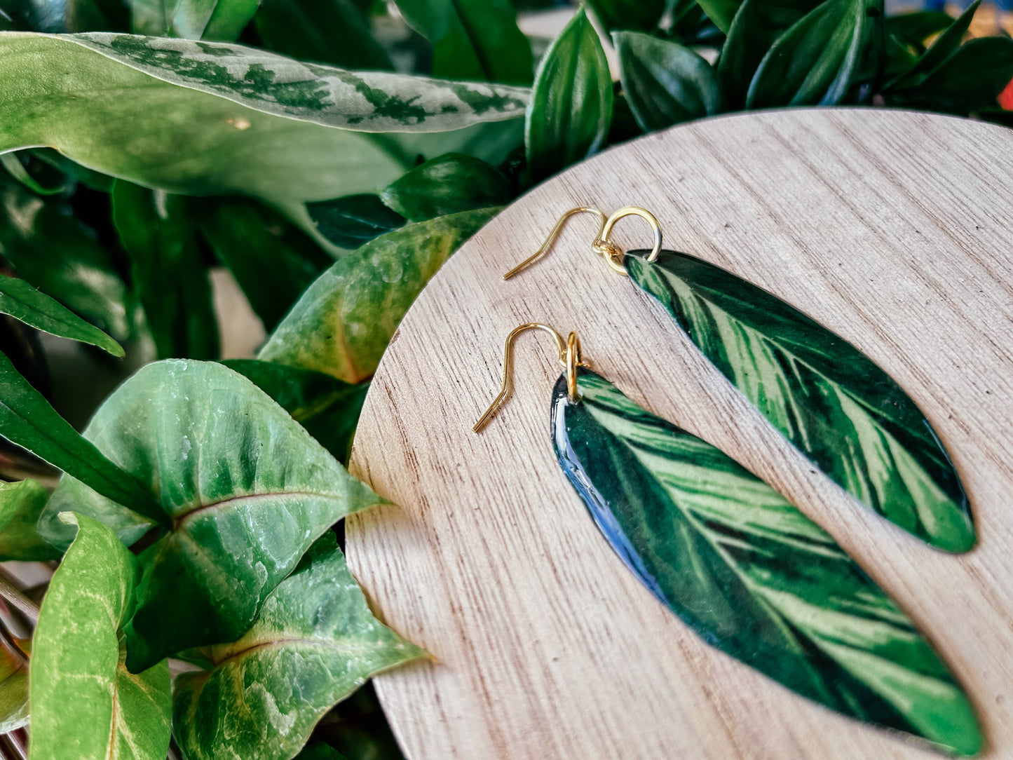 Shell Ginger Plant Leaf Earrings