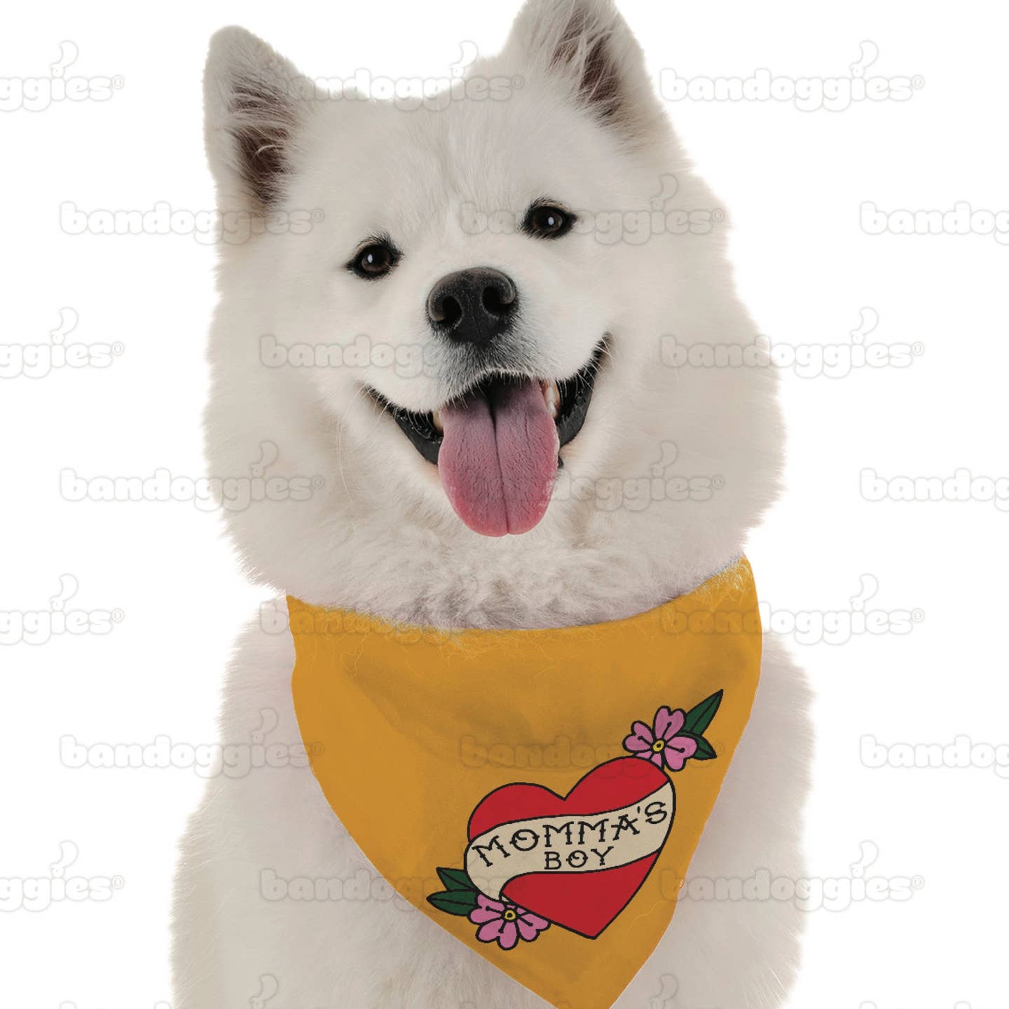 Momma's Boy Large Pet Bandana