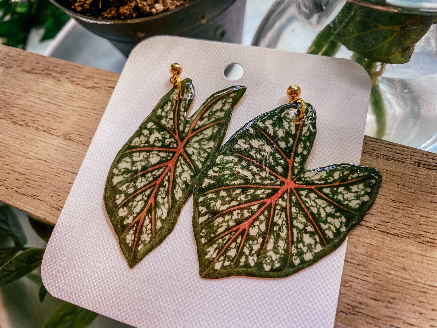 Caladium Leaf Mismatch Leaf Earrings