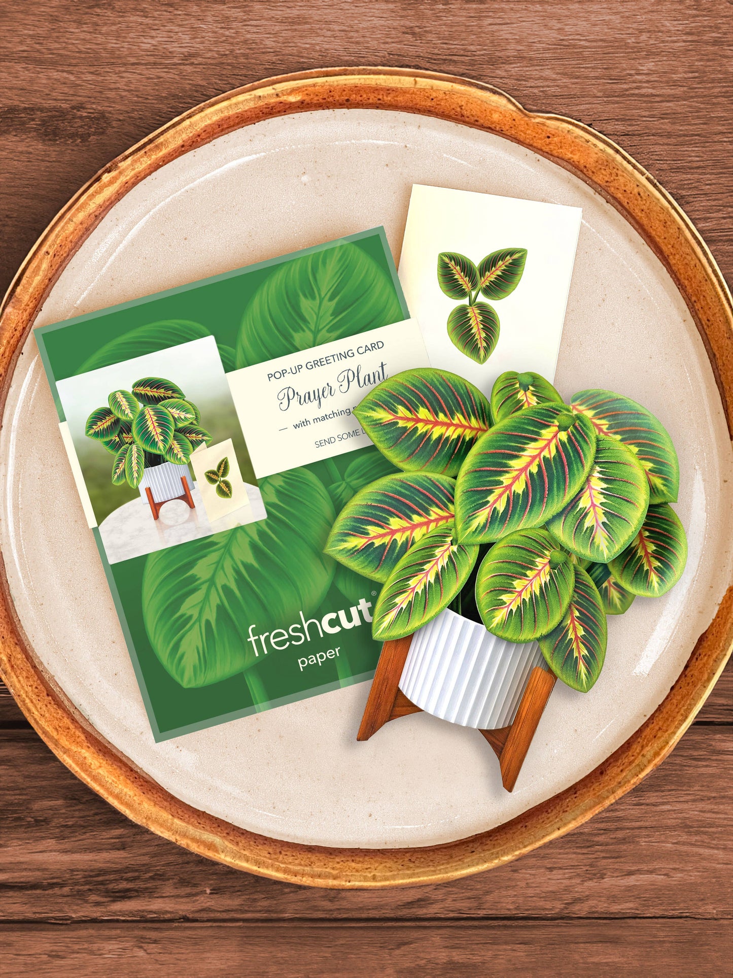Mini Prayer Plant Pop-up Greeting Card