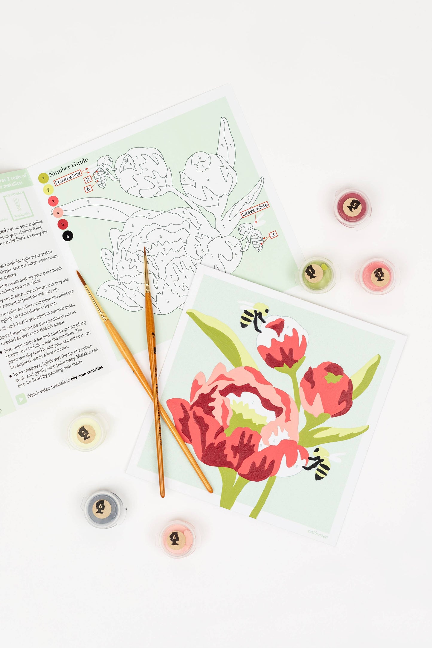 Peonies MINI Paint-by-Number Kit